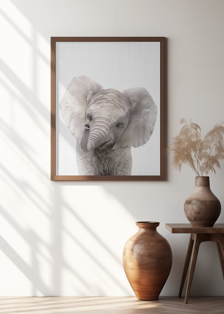 Peekaboo Baby Elephant