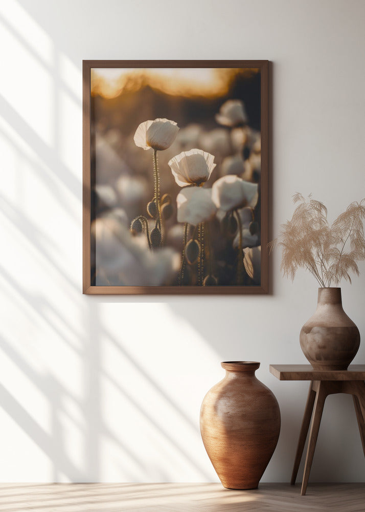 White Poppy Field No 2