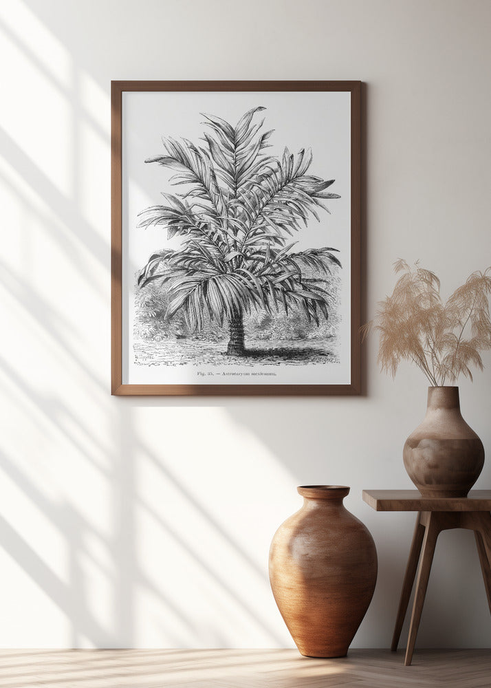 Vintage Palm Tree Drawing Ix