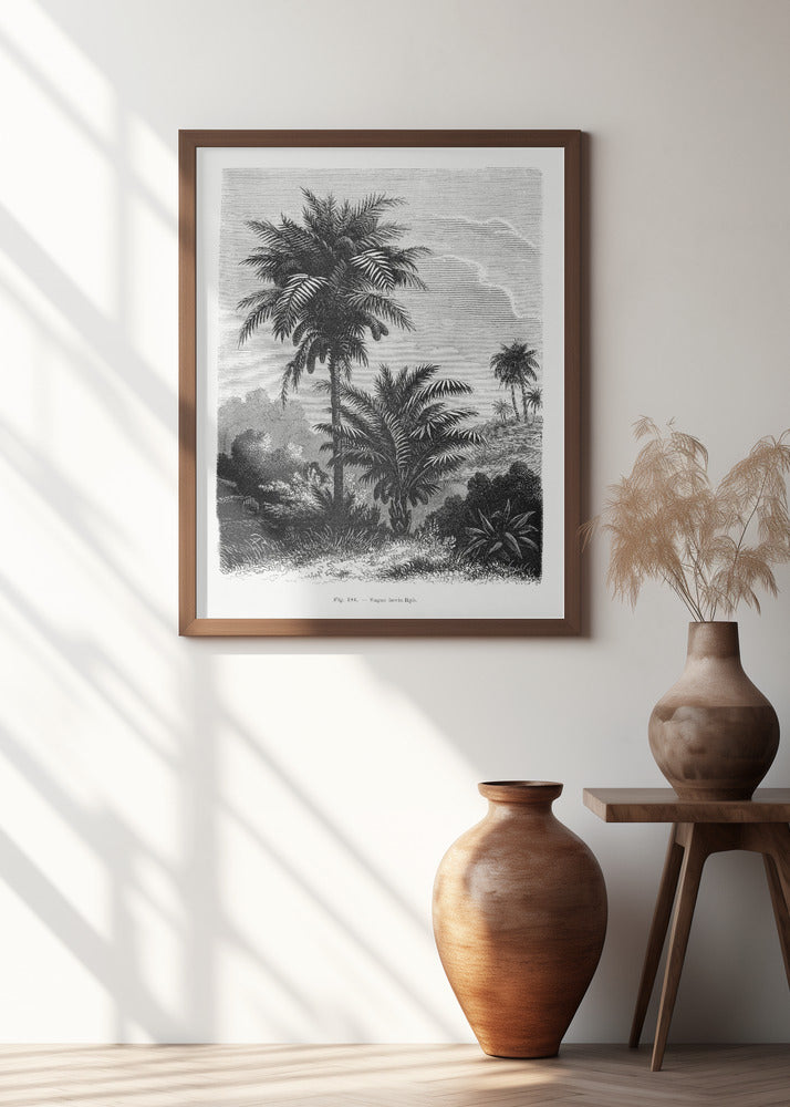 Vintage Palm Tree Drawing V