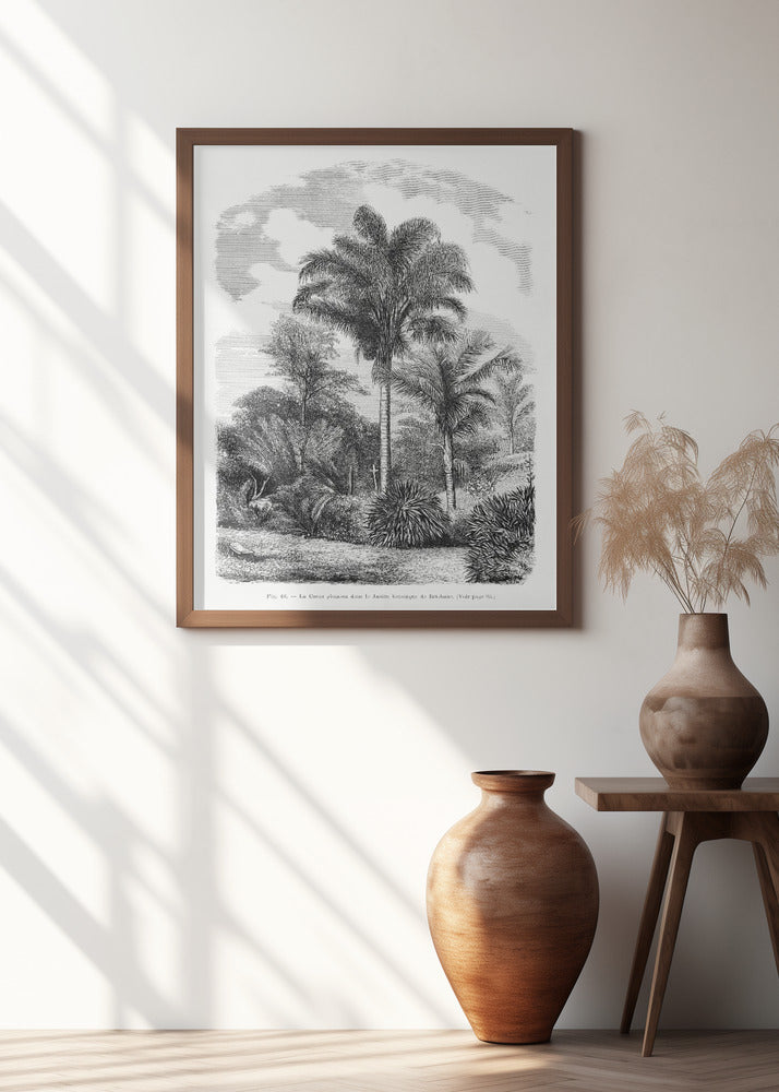 Vintage Palm Tree Drawing Vi