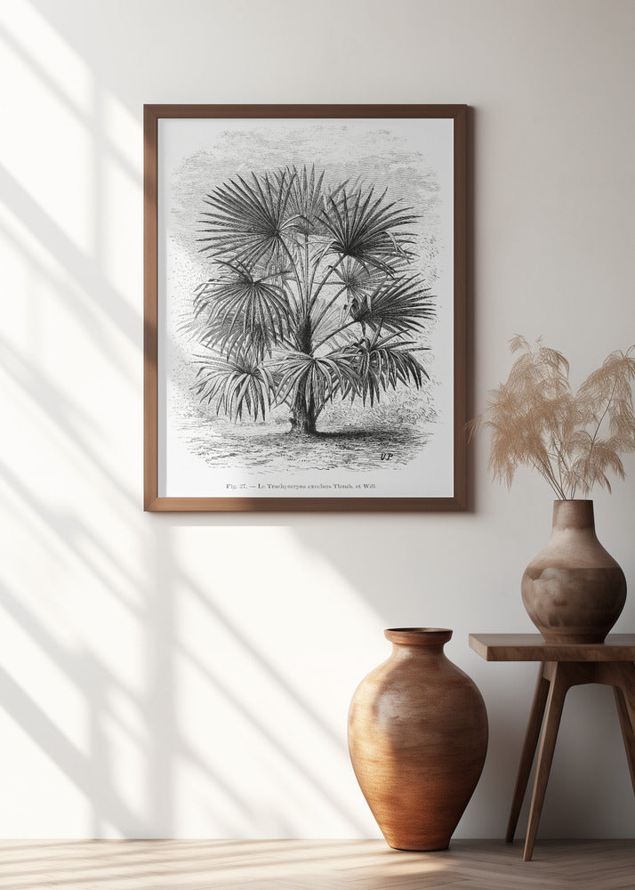 Vintage Palm Tree Drawing Xi