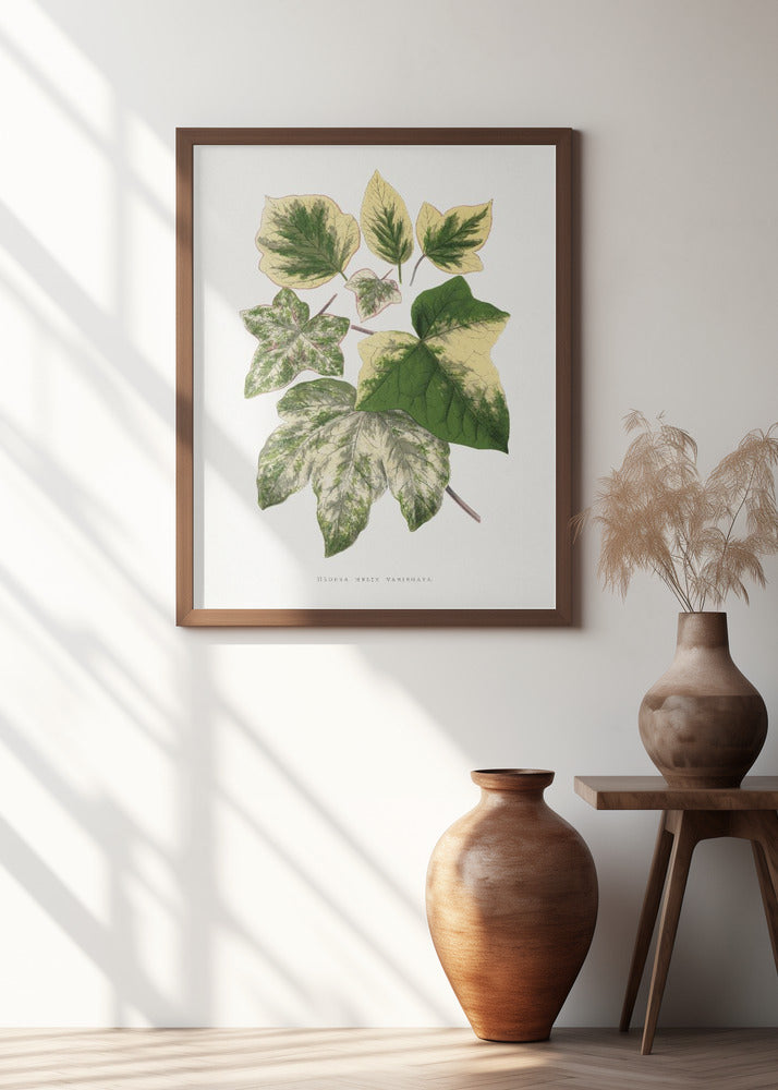 Green Leaf Illustration