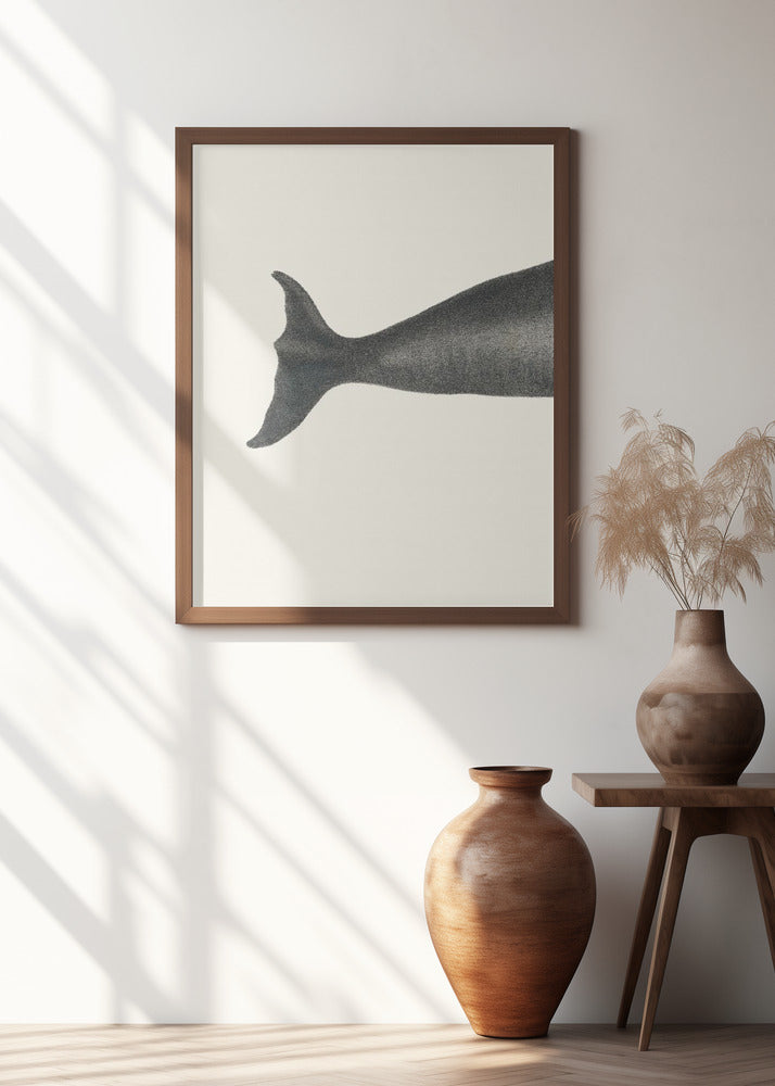 Whale Tight Crop I Handcolored Sealife Lithograph 1824