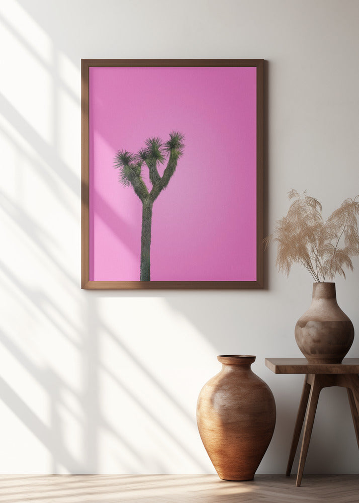 Joshua Tree with Pink Sky