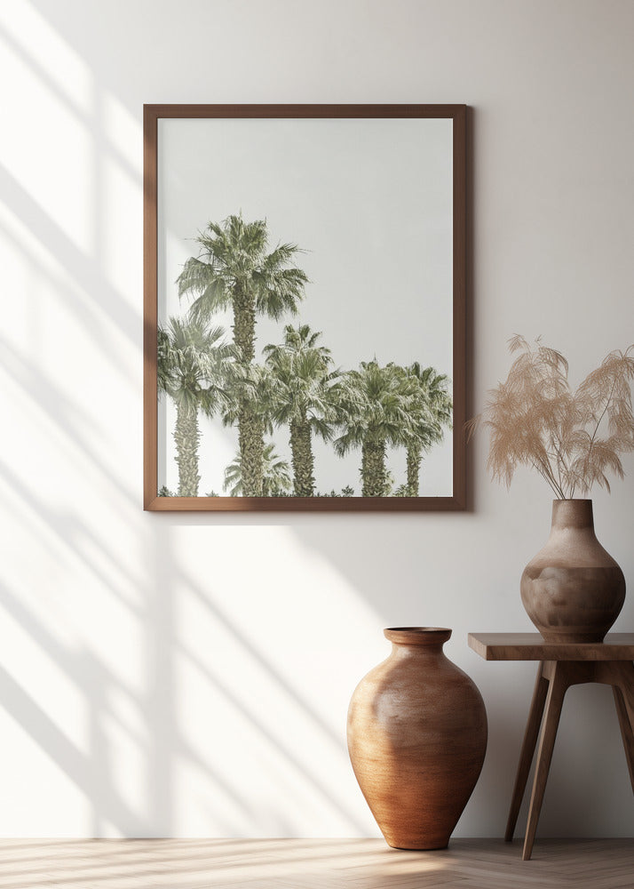 Tropical Palm Trees | Vintage