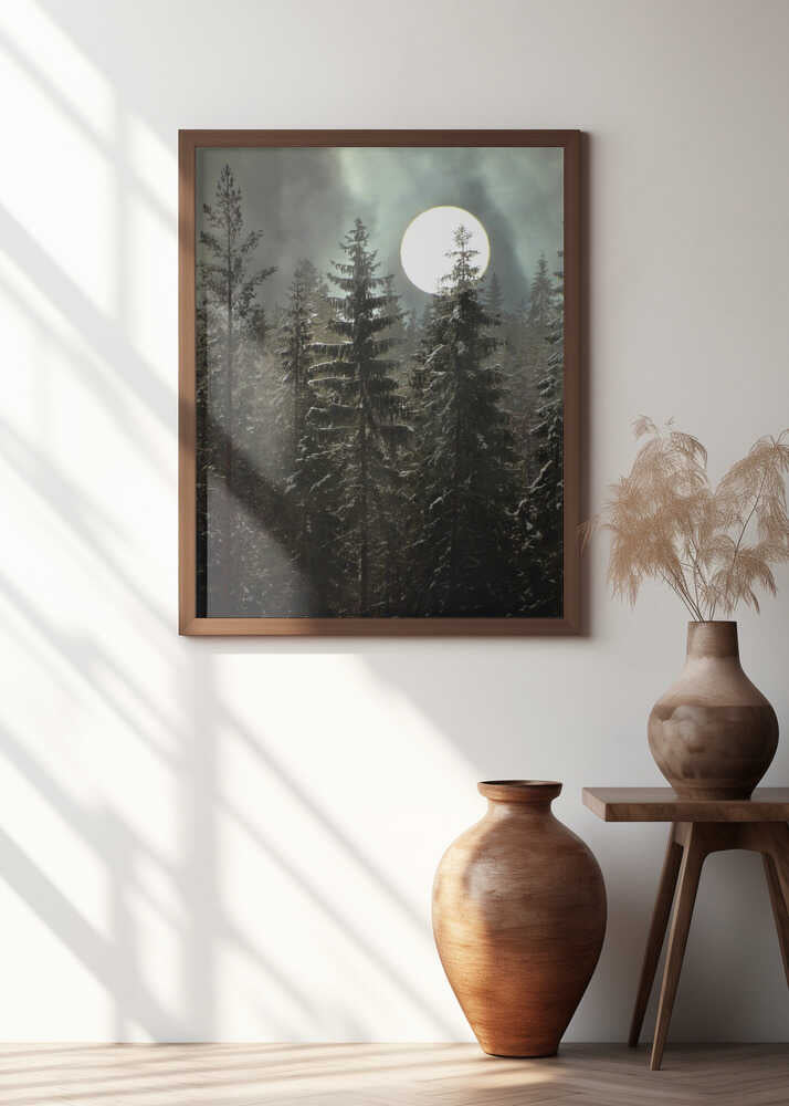 Moonlight over the forest