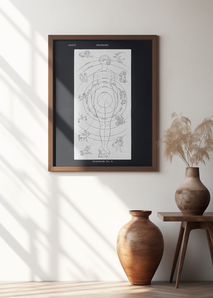 Solar Biology No. 6 Black (Creative ed)