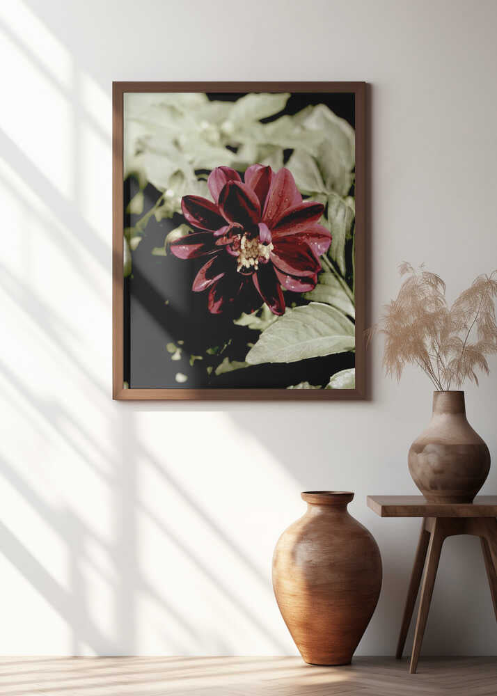 Crimson Bloom's Dance