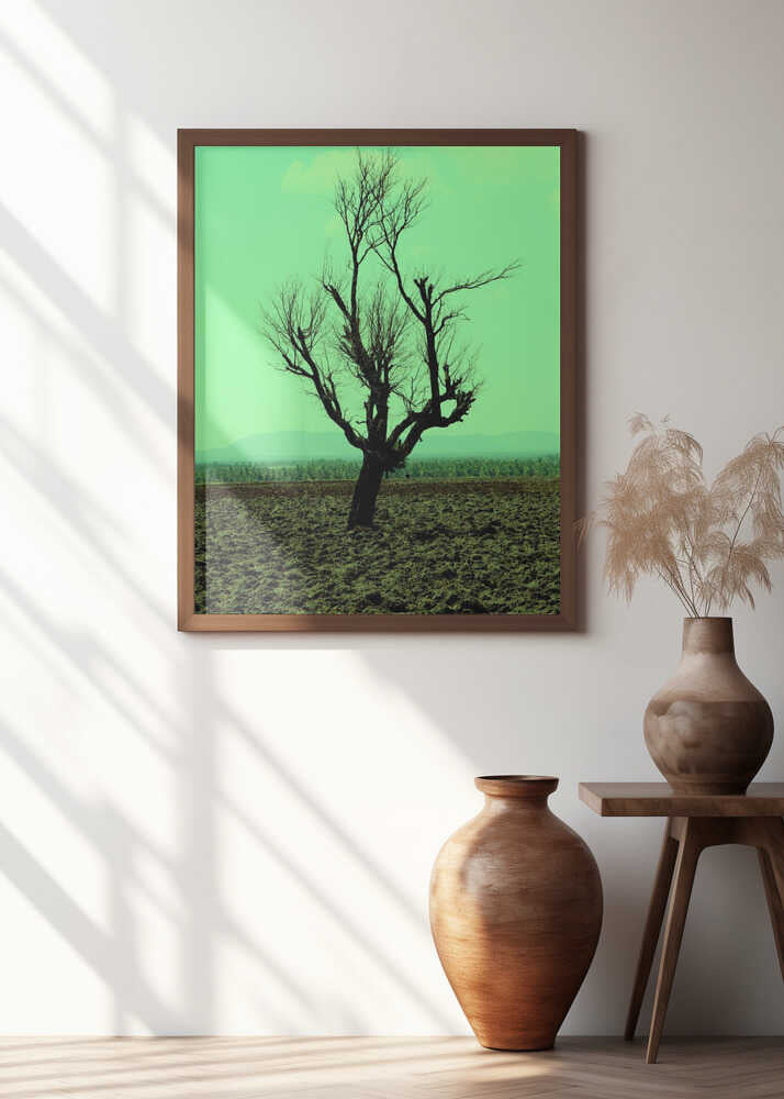 Solitary Tree Silhouette