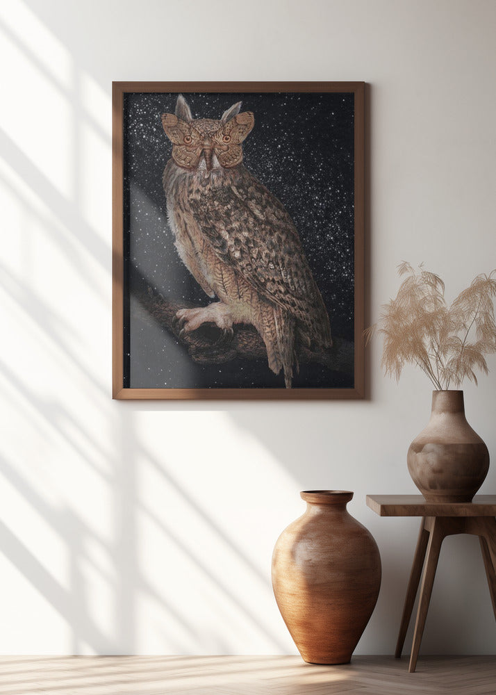 Camouflage and Stars Colour