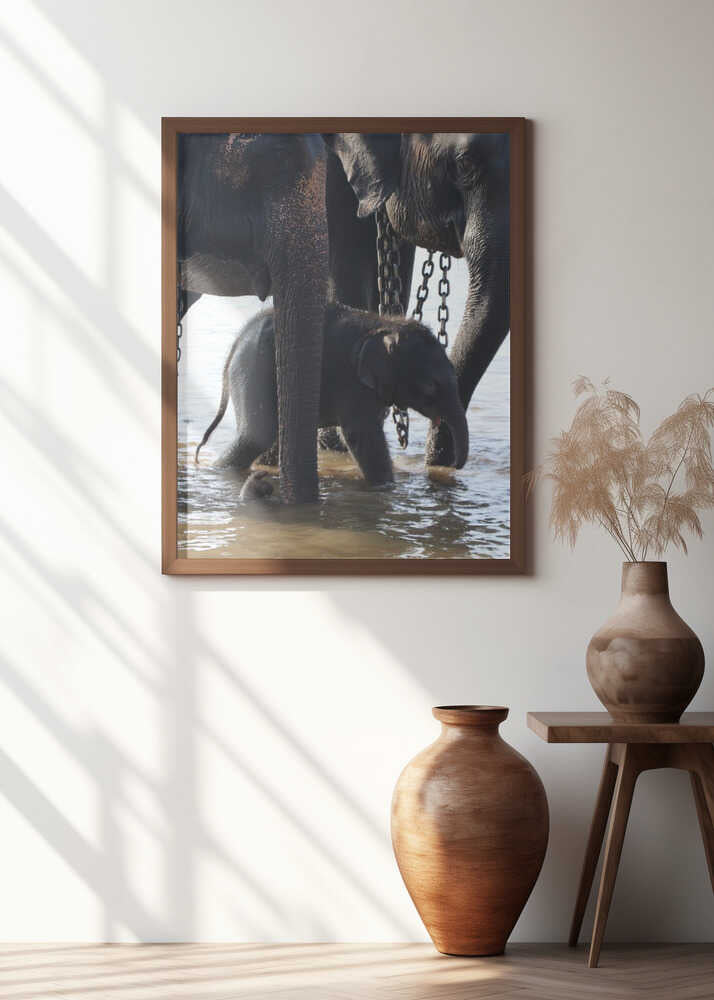 Elephant Family Stroll