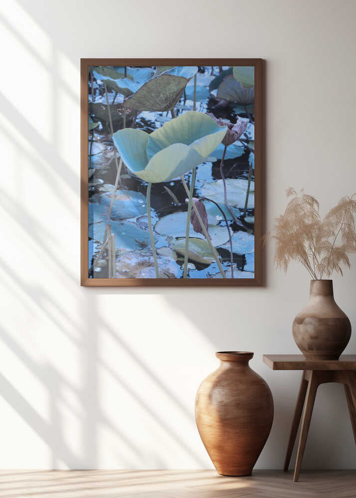 Luminous Lotus Leaves