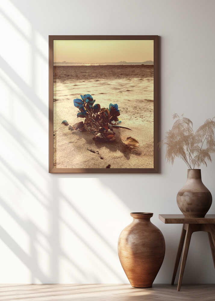 Ocean's Blue Resilience