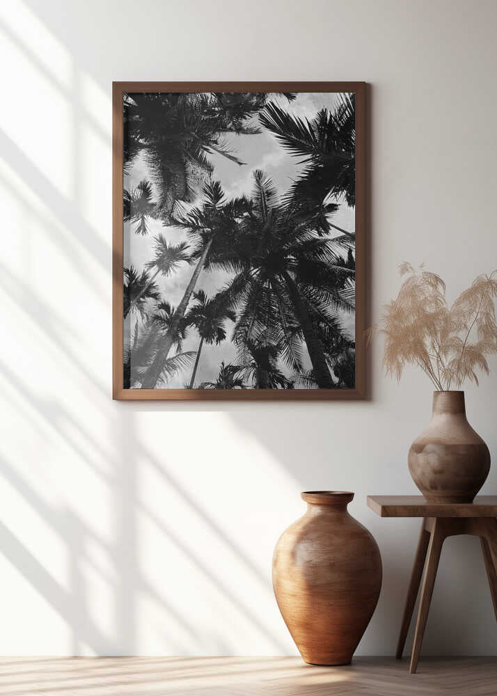 Tropical Silhouettes