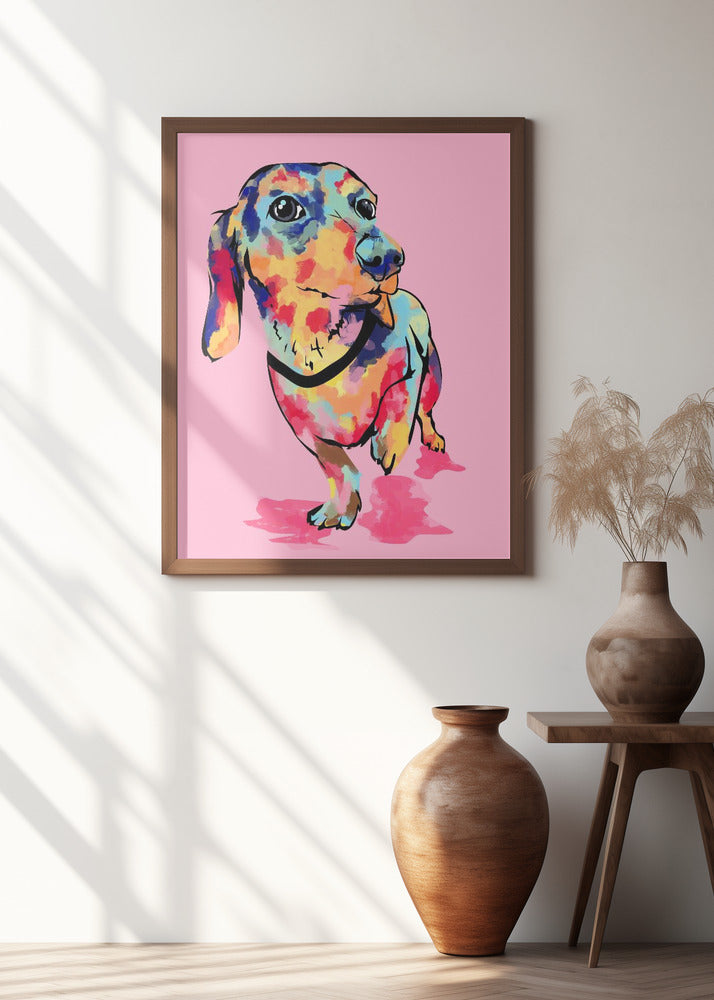 Rainbow Pup, Cute and Colorful Dog