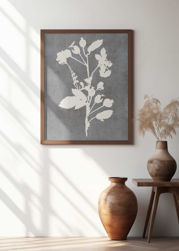 Botanical Illustration 6