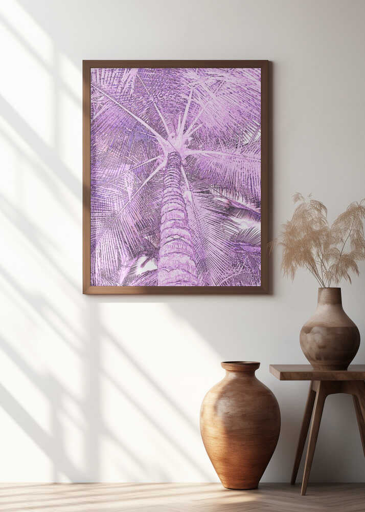 Violet Palm View