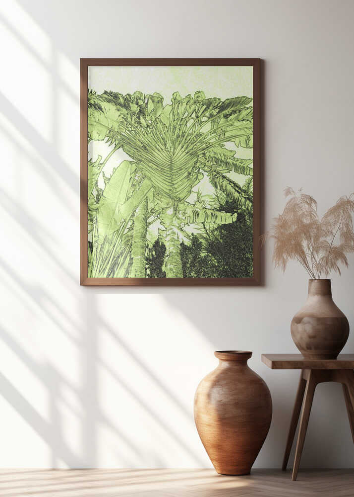 Tropical Canopy Glow