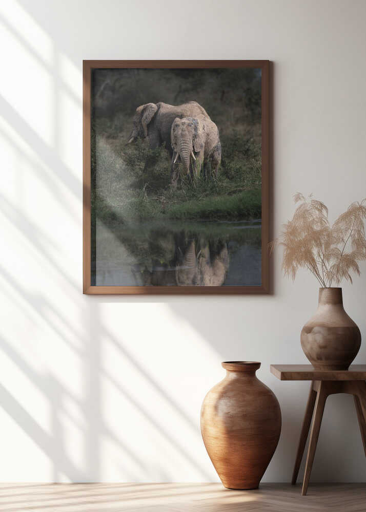 Elephant Mirror