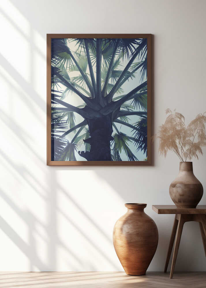 Tropical Tranquillity