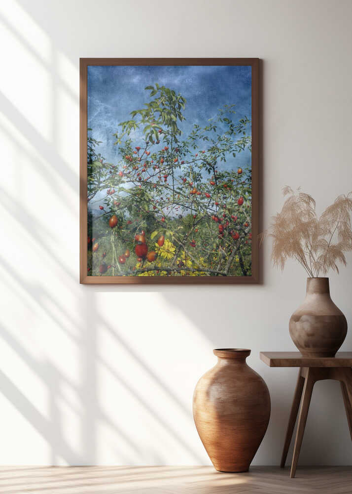 Wild In the Country (2)