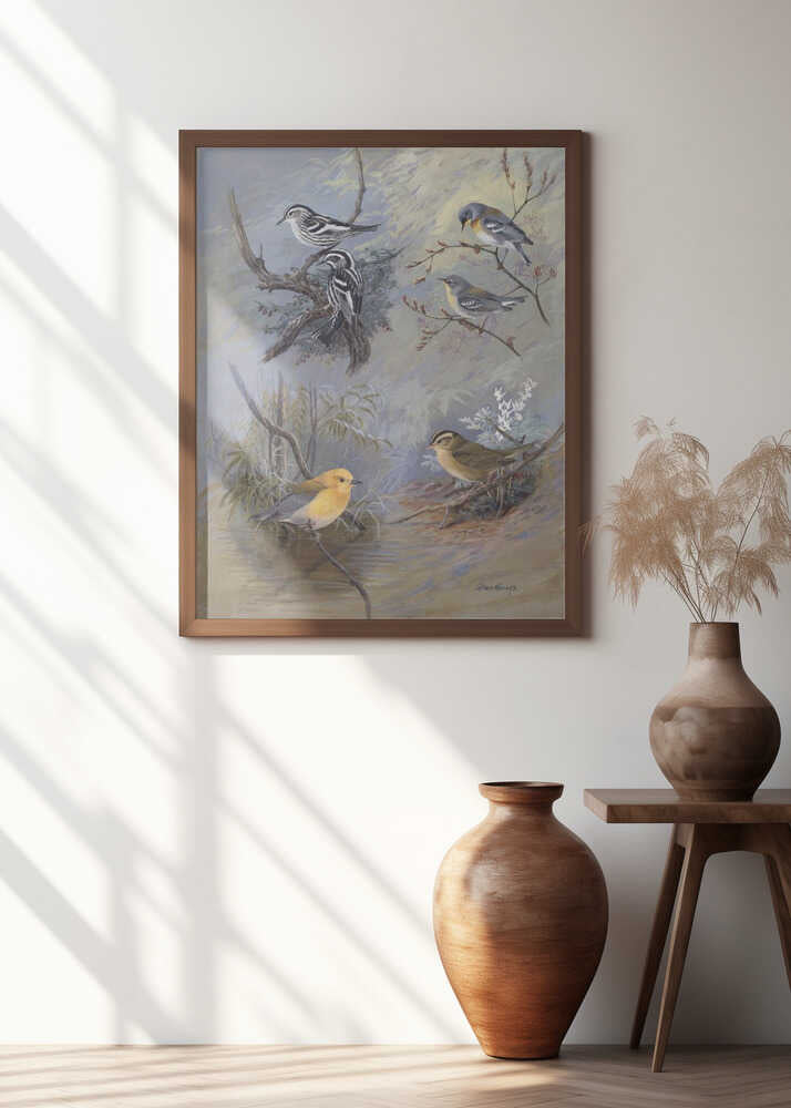 Warblers 002 By Allan Brooks