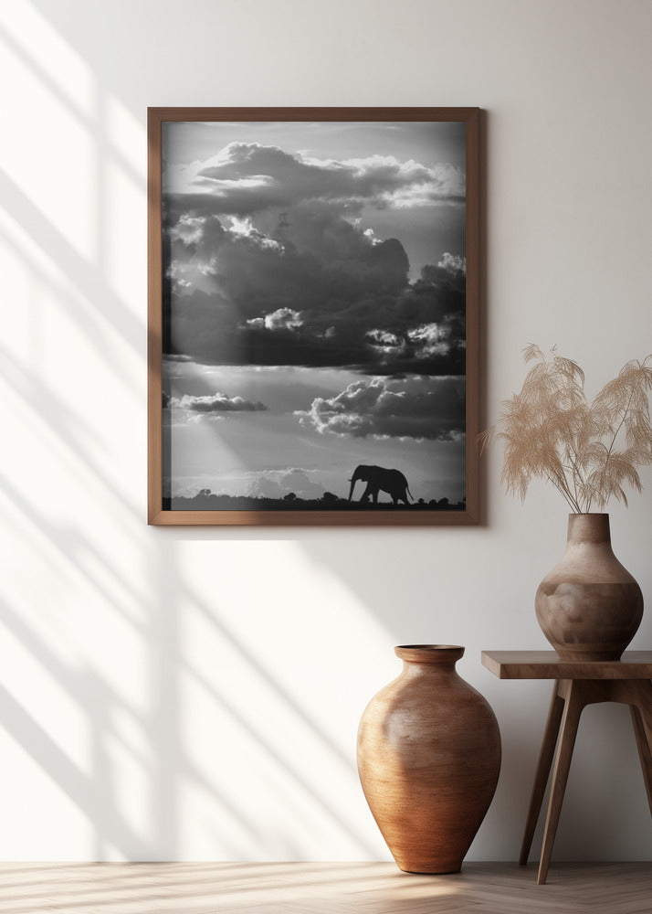 He walks under an African Sky