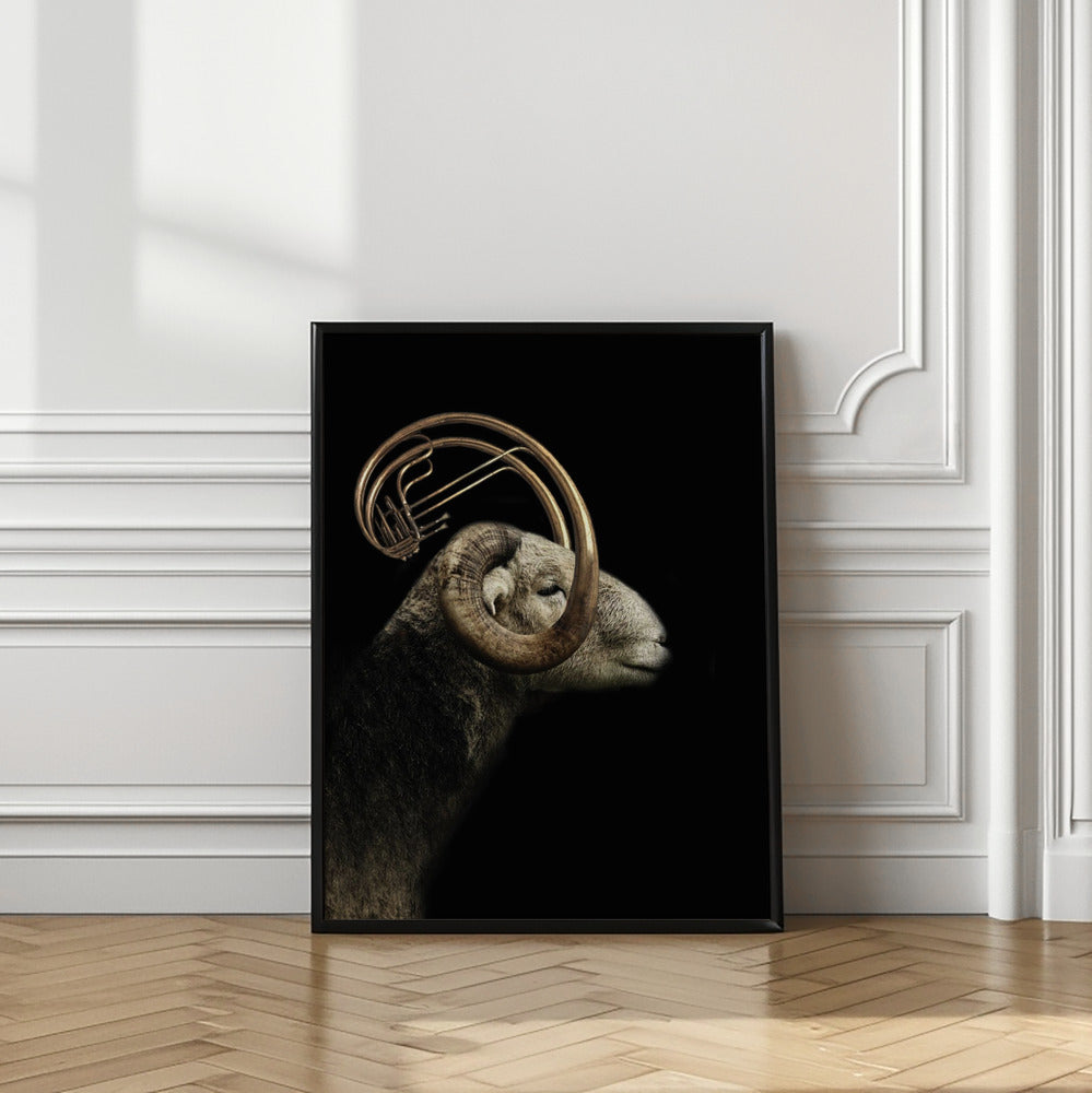 Art Prints of big horn sheep
