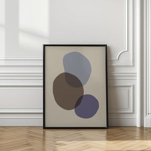 Art Prints of Organic Shapes 05