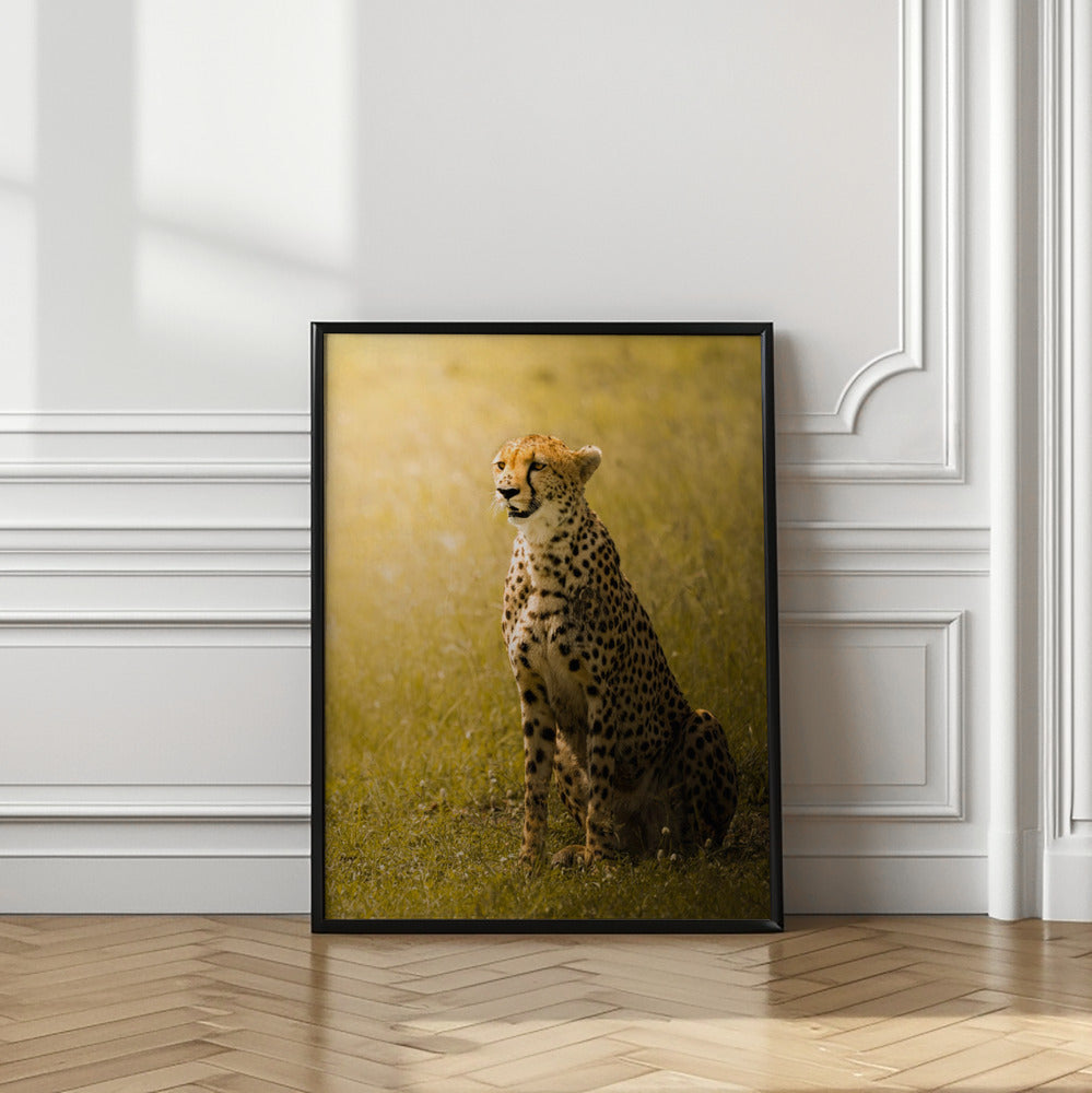 Art Prints of Stay Back