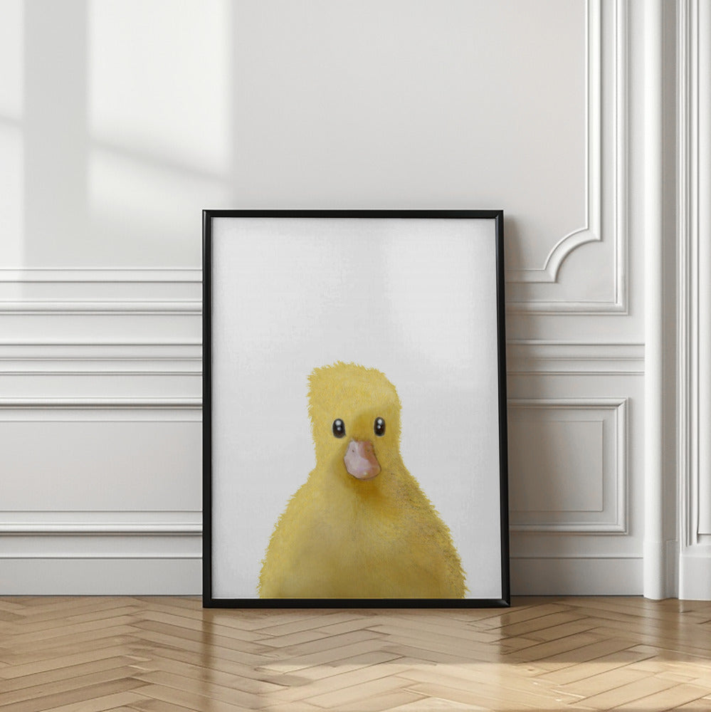 Art Prints of Duck