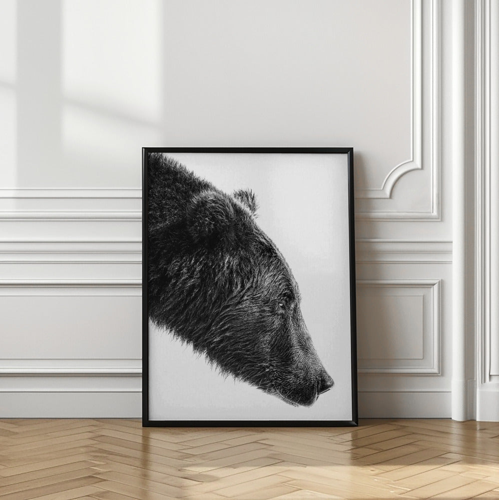 Art Prints of The Salmon Catcher