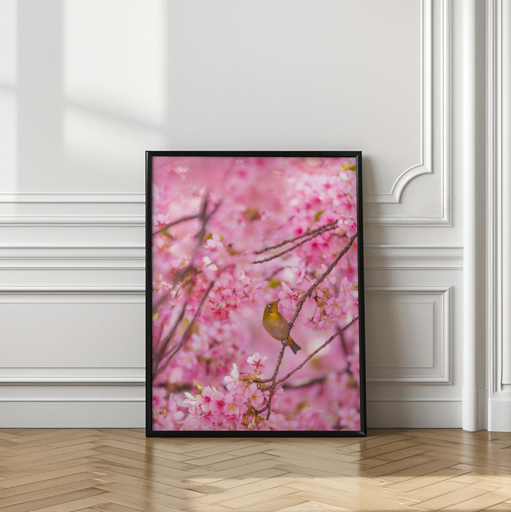 Art Prints of cherry blossoms and bird