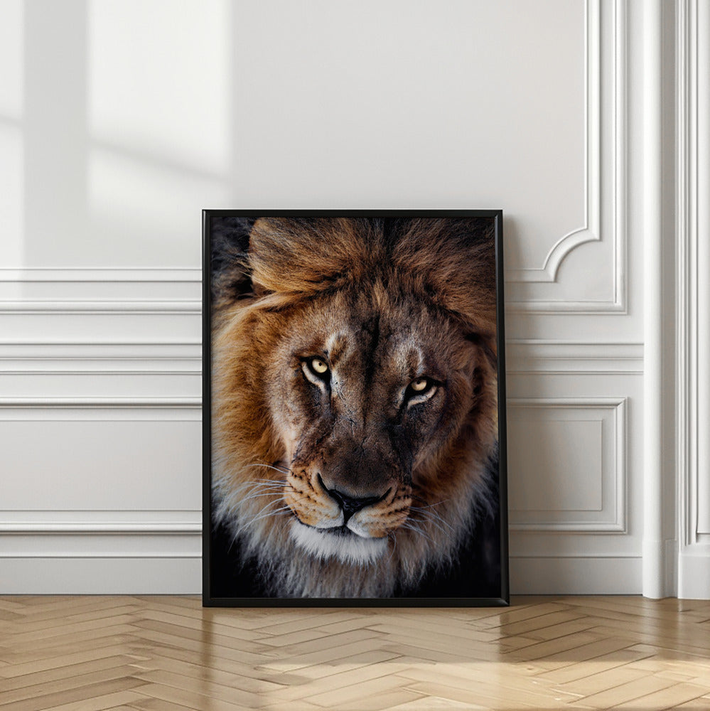 Art Prints of The king