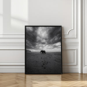 Art Prints of Amboseli