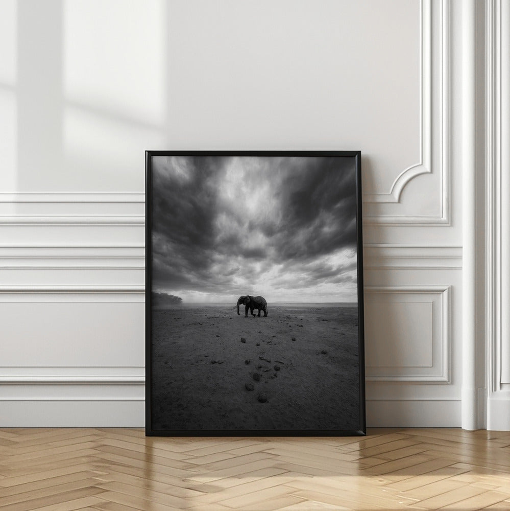 Art Prints of Amboseli