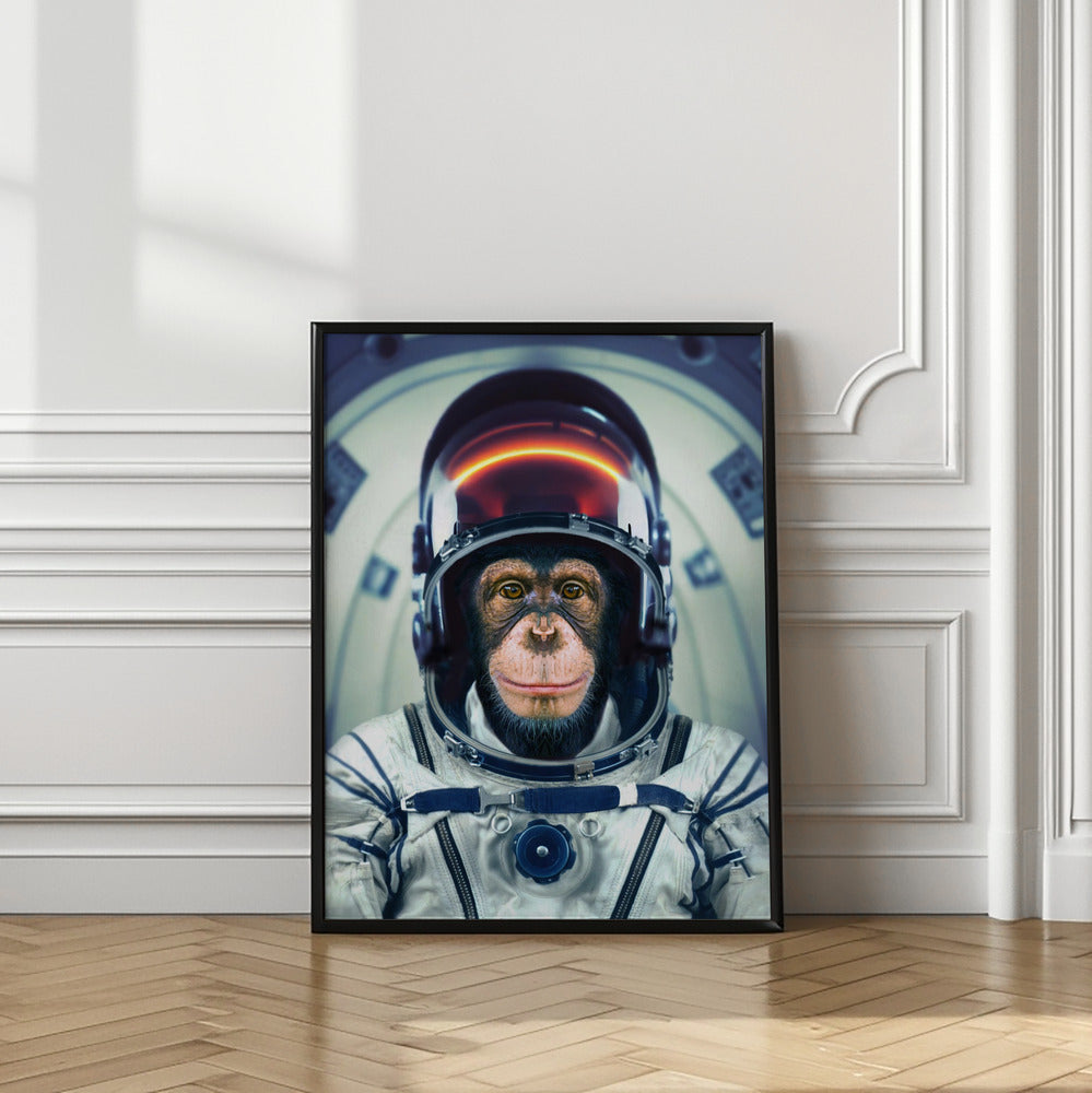 Art Prints of AstroMonkey