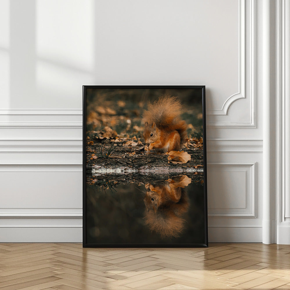 Canvas Art Print Reflection of a red squirrel