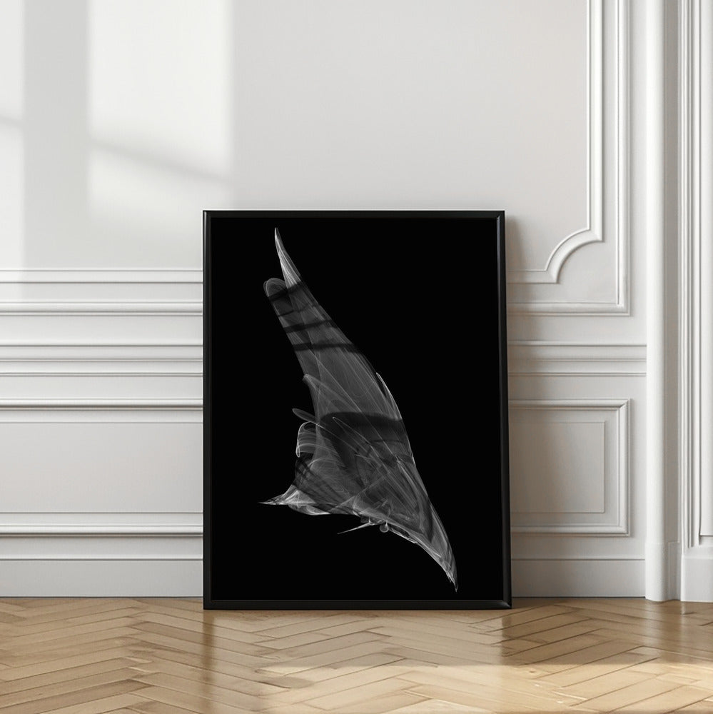 Canvas Art Print The Dive