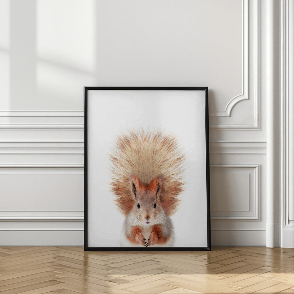 Canvas Art Print Baby Squirel