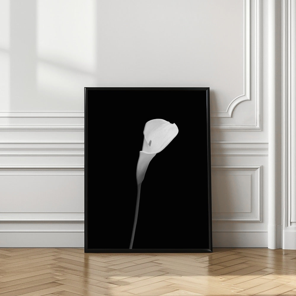 Art Prints of Calla | dark design