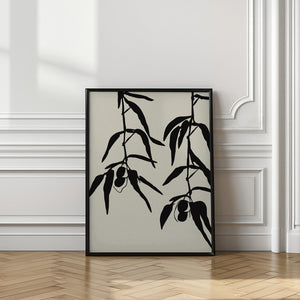 Art Prints of Olive twigs