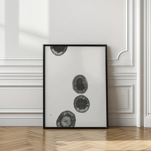 Art Prints of Atoll Ilands