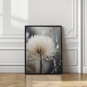 Art Prints of Pastelnaturemacrono11