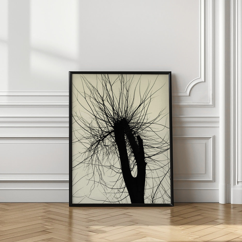 Art Prints of City Range 24