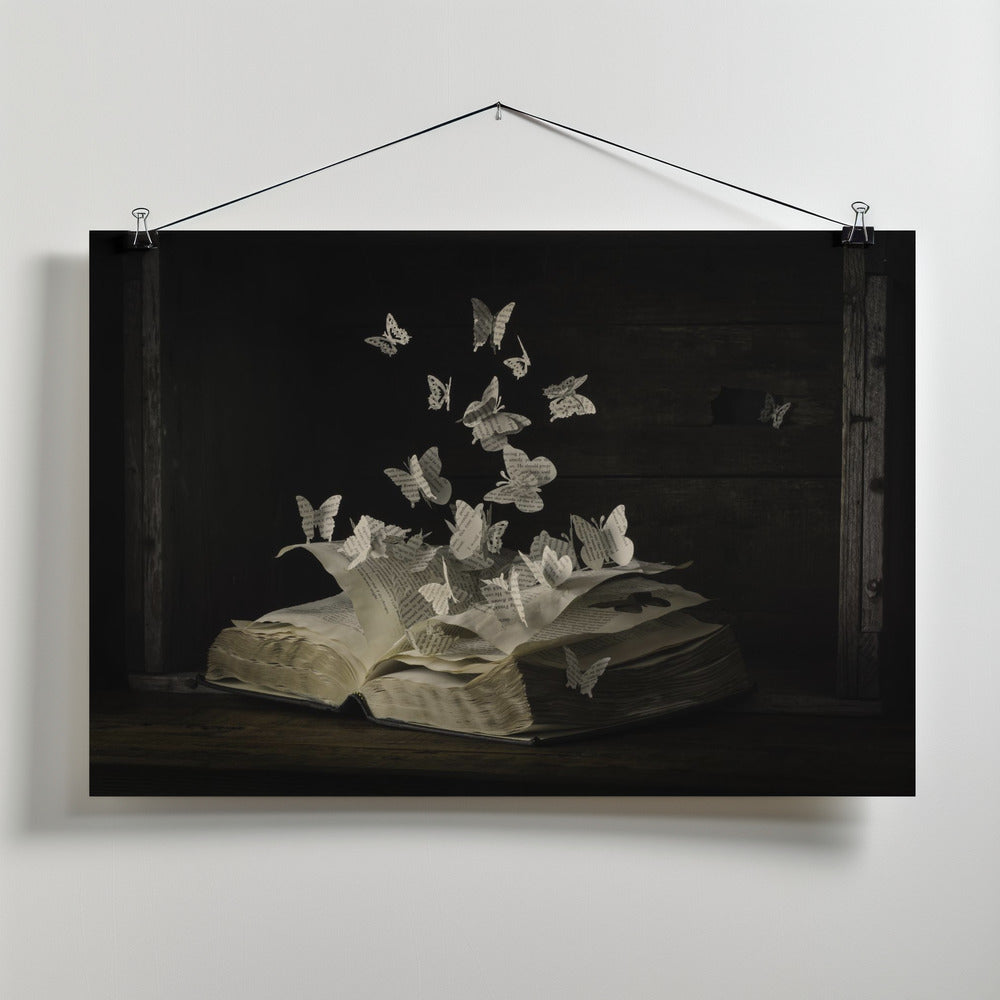 Art Prints of Lepidopterology