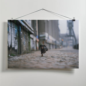 Art Prints of The Dark Side of Hamburg