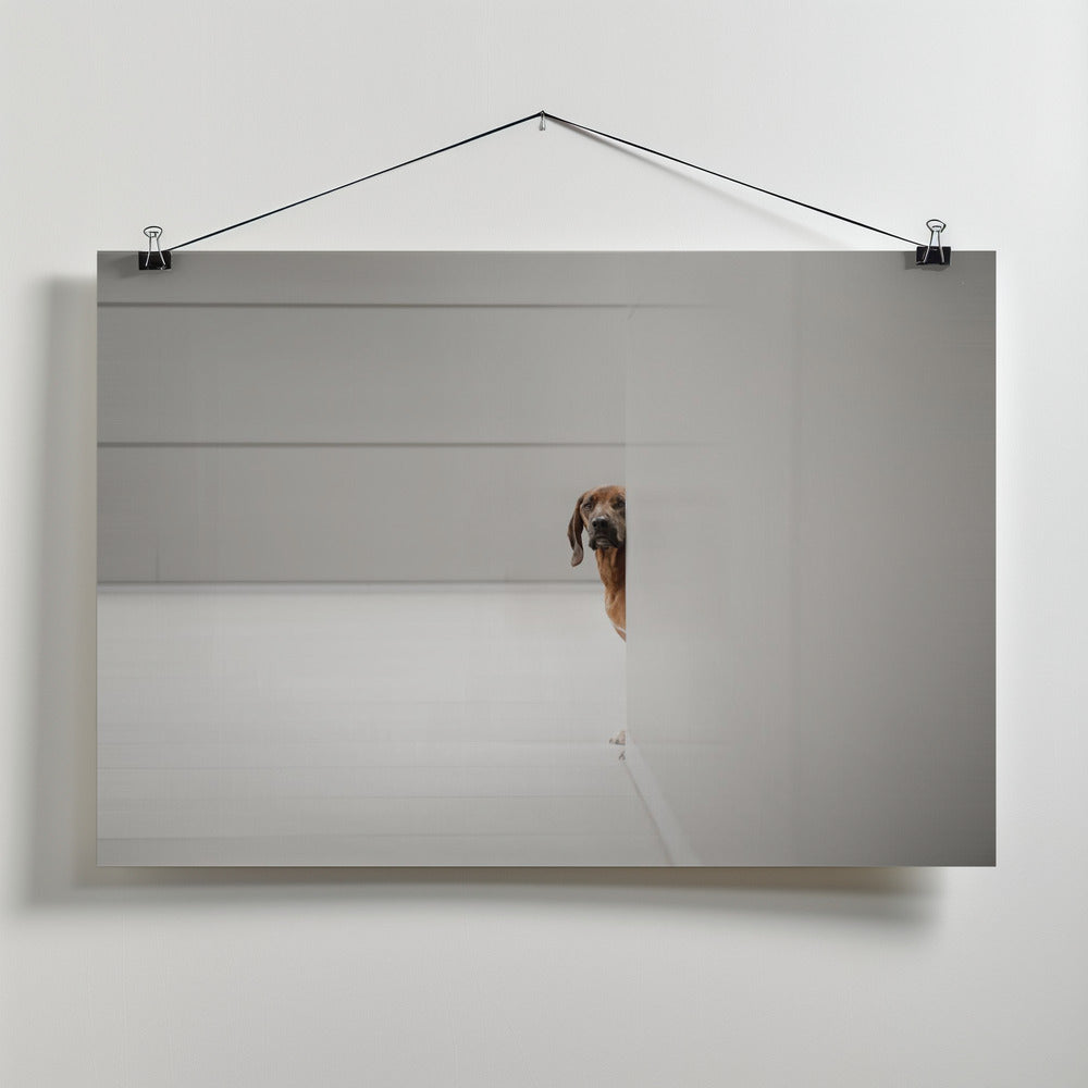 Art Prints of Minimalismus