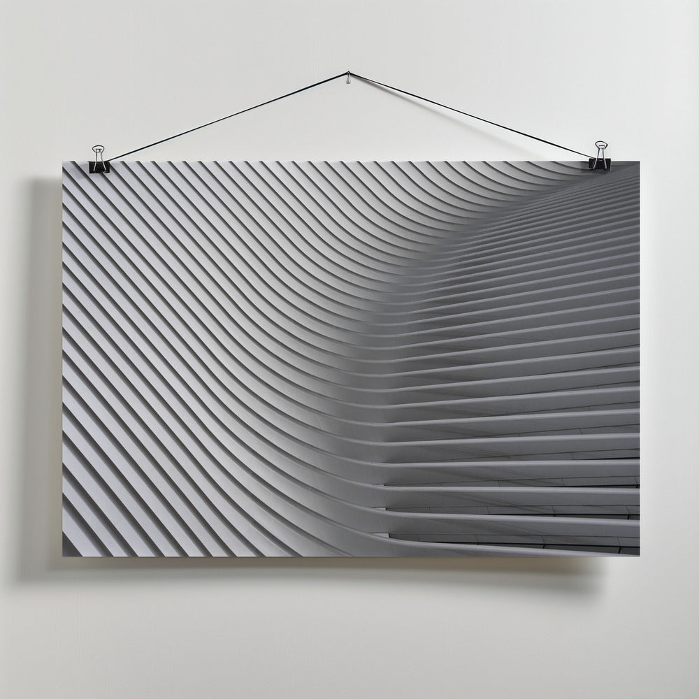 Art Prints of Calatrava Curves # 2